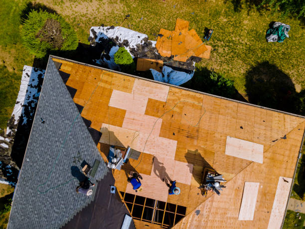 Professional Roofing Contractor in Maxwell, CA