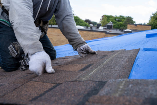 Best Roof Gutter Cleaning  in Maxwell, CA